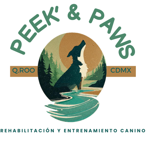 Peek&Paws